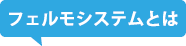 フェルモシステムとは
